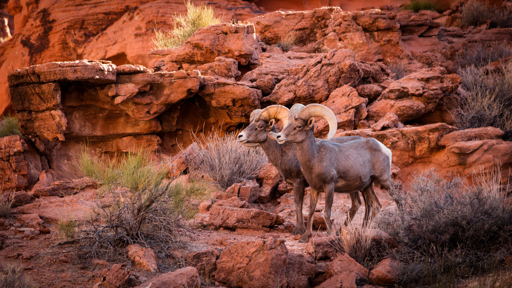 0 Y4 A8992 Photography Art | Captured Adventure Photography