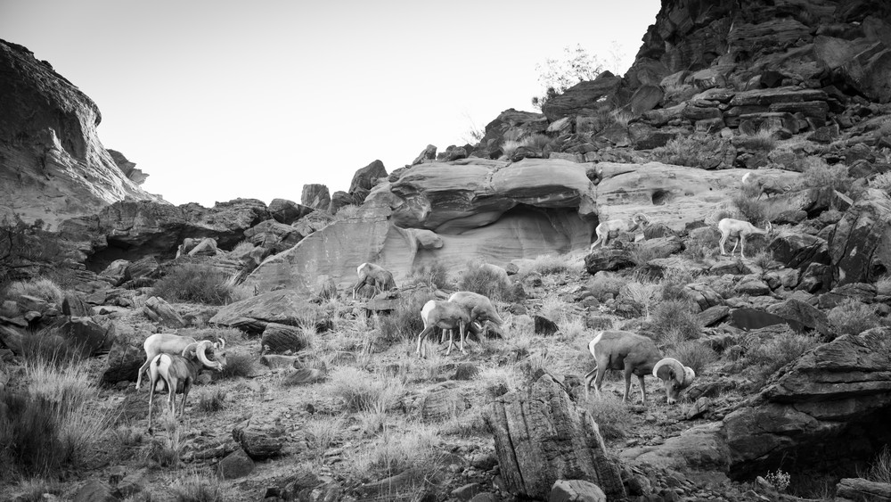 0 Y4 A8995 Photography Art | Captured Adventure Photography