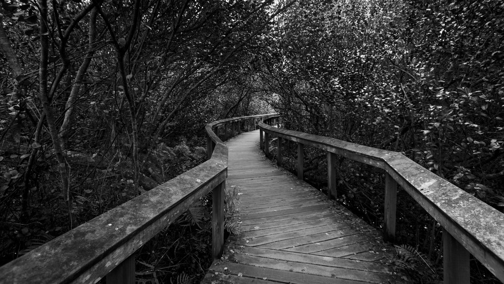 Mg 8999 Photography Art | Captured Adventure Photography