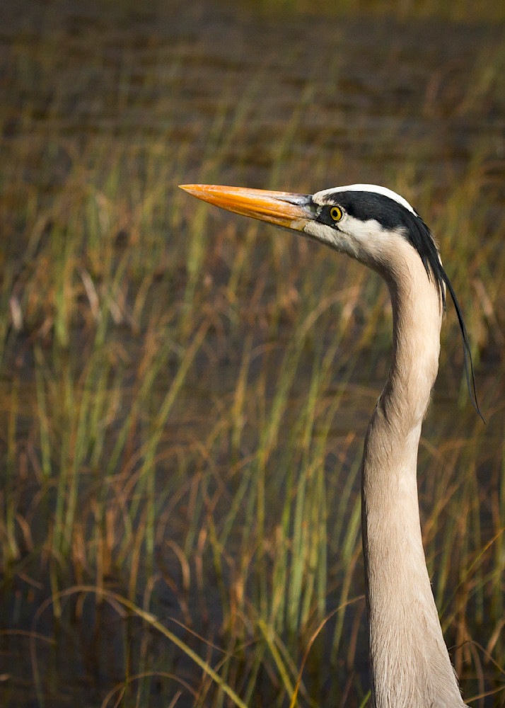 Img 1309 Photography Art | Captured Adventure Photography