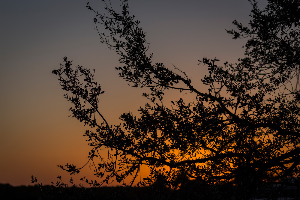 Mg 9616 Photography Art | Captured Adventure Photography