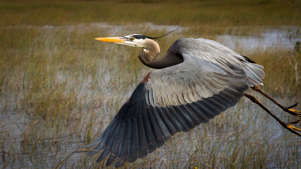 Img 1349 Photography Art | Captured Adventure Photography