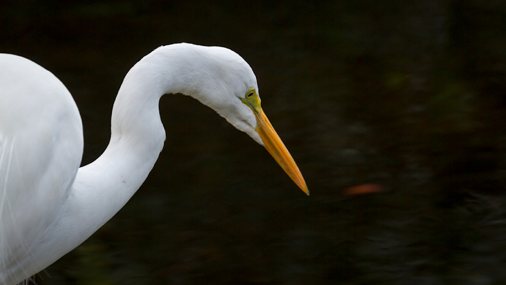 Img 1588 Photography Art | Captured Adventure Photography