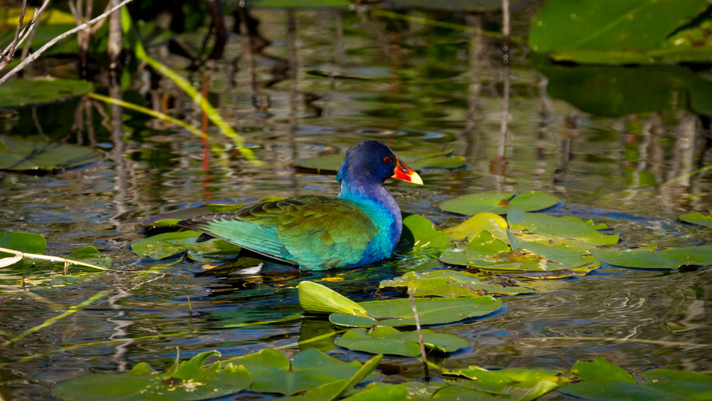 Img 1741 Photography Art | Captured Adventure Photography