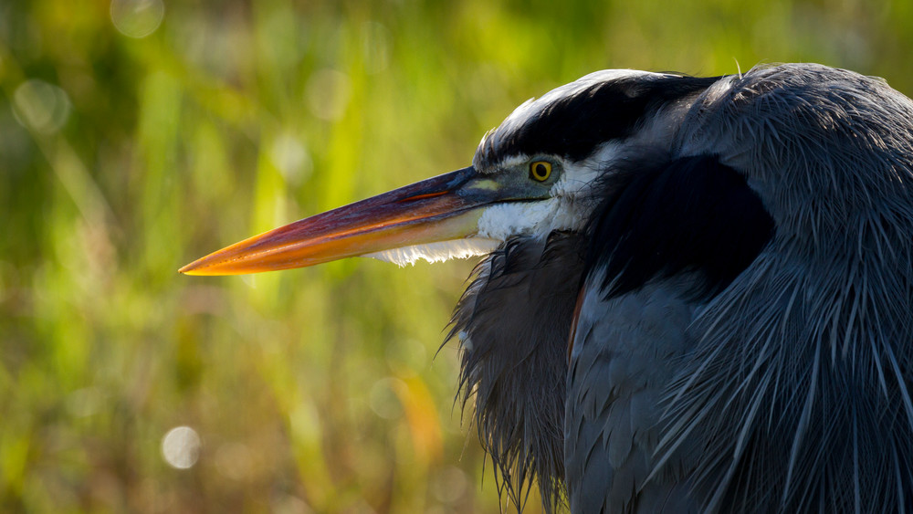 Img 1648 Photography Art | Captured Adventure Photography