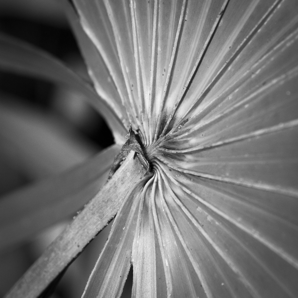 Img 1876 Photography Art | Captured Adventure Photography