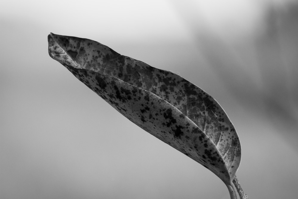 Img 1849 Photography Art | Captured Adventure Photography