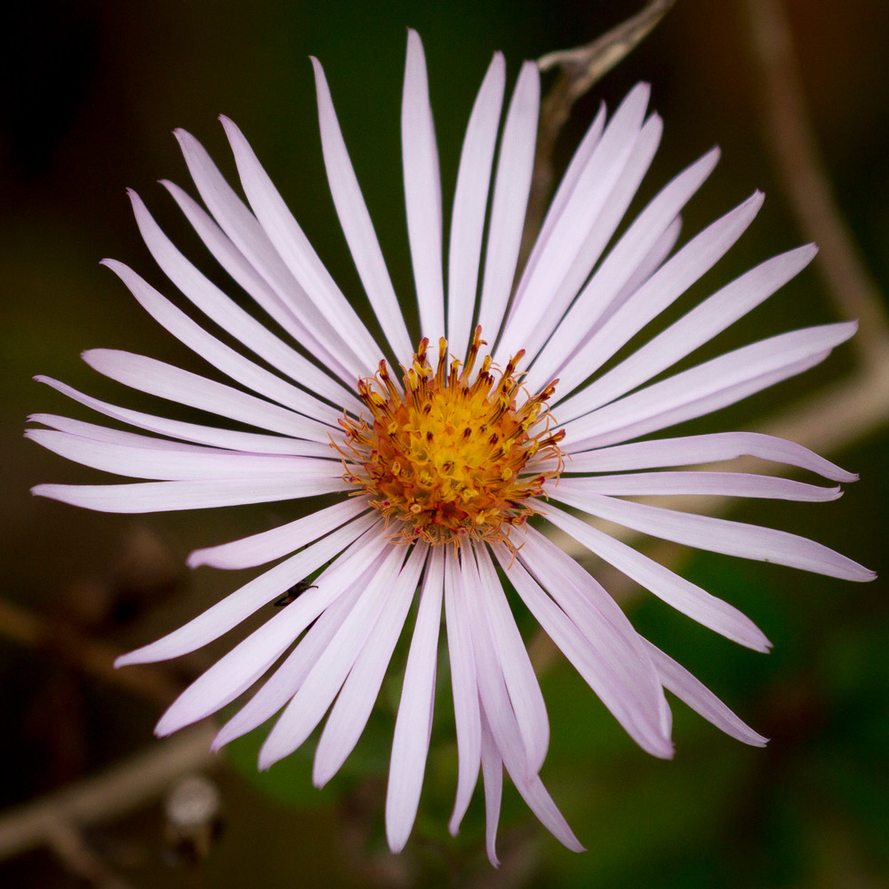 Img 1951 Photography Art | Captured Adventure Photography