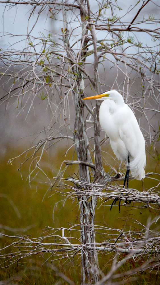 Img 1966 Photography Art | Captured Adventure Photography