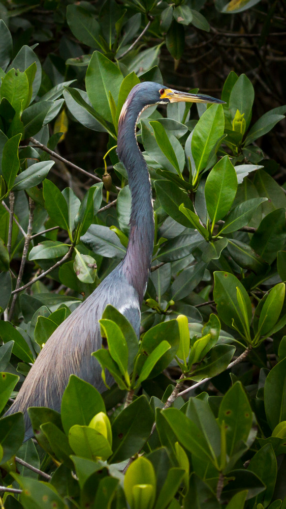 Img 2165 Photography Art | Captured Adventure Photography