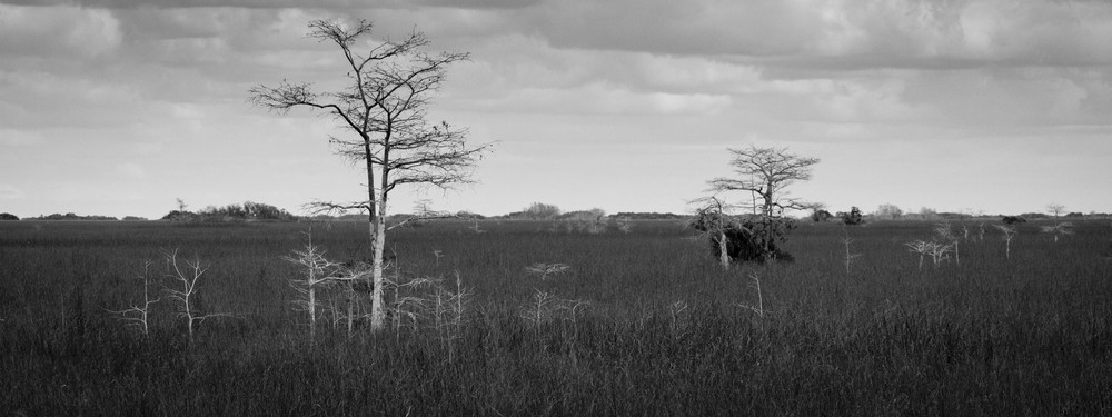 Img 1987 1 Photography Art | Captured Adventure Photography