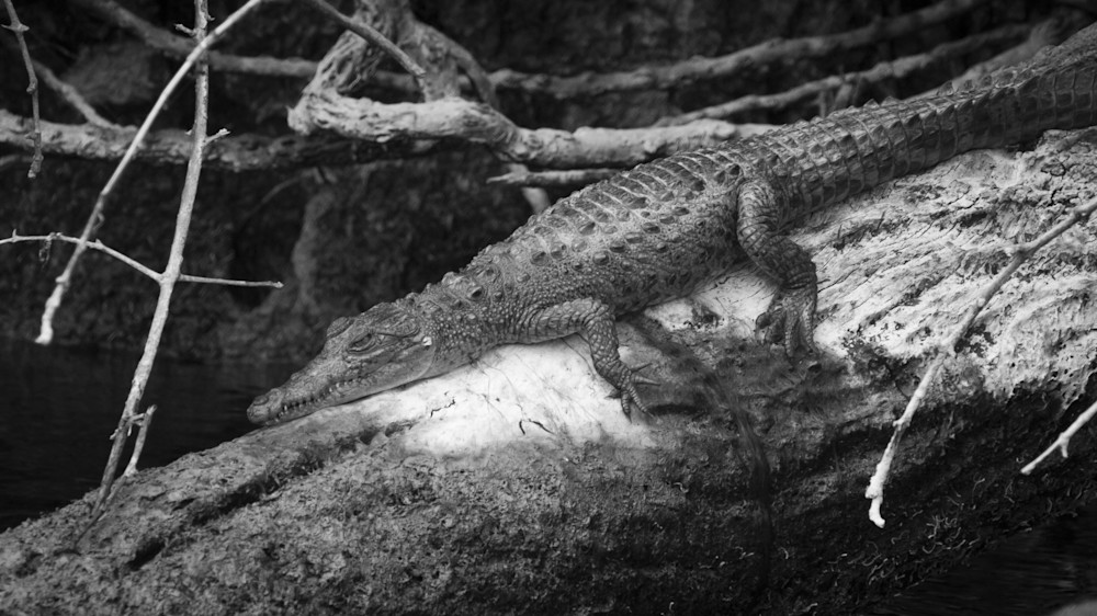 Img 2182 Photography Art | Captured Adventure Photography