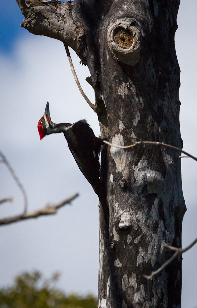 Img 2383 Photography Art | Captured Adventure Photography