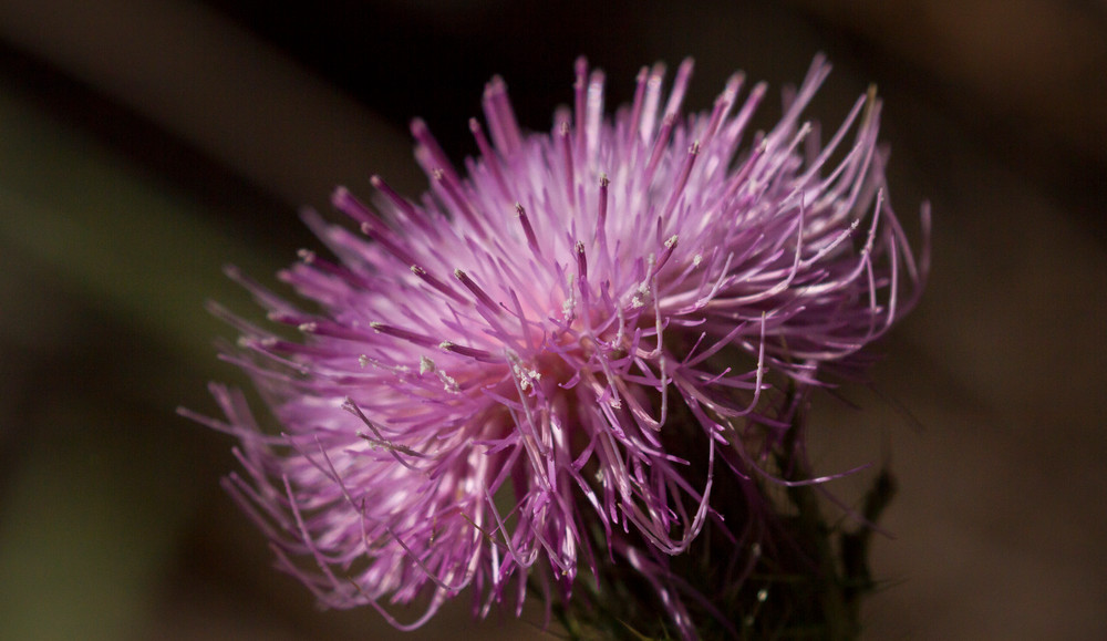 Img 1880 Photography Art | Captured Adventure Photography