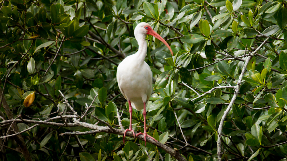 Img 2224 Photography Art | Captured Adventure Photography