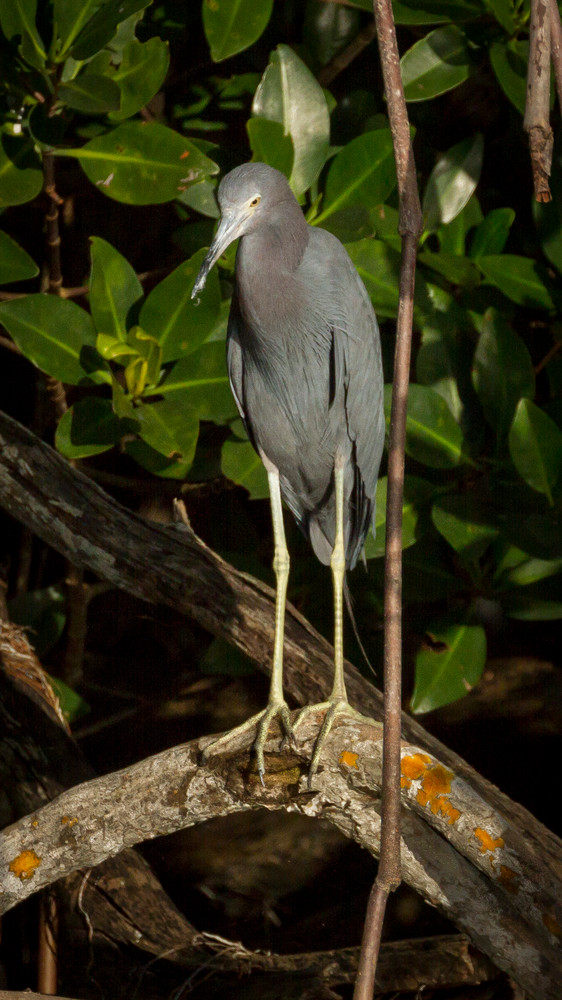 Img 2567 Photography Art | Captured Adventure Photography