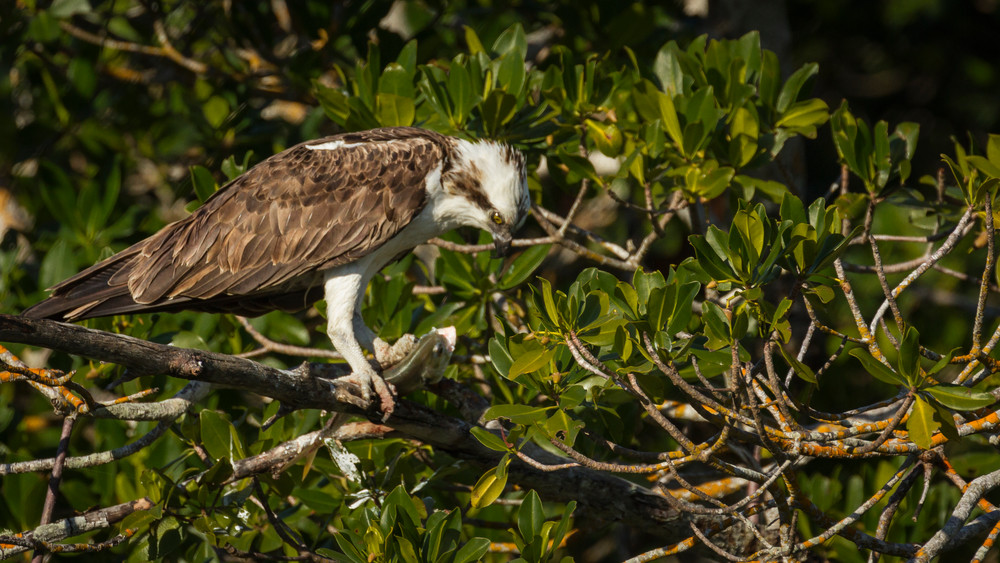 Img 2572 Photography Art | Captured Adventure Photography