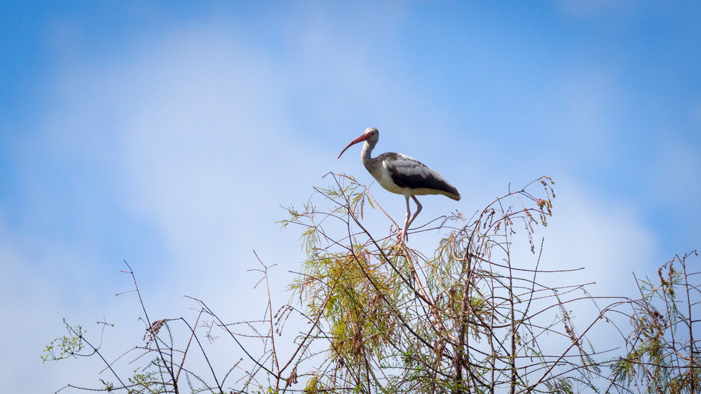 Img 3216 Photography Art | Captured Adventure Photography