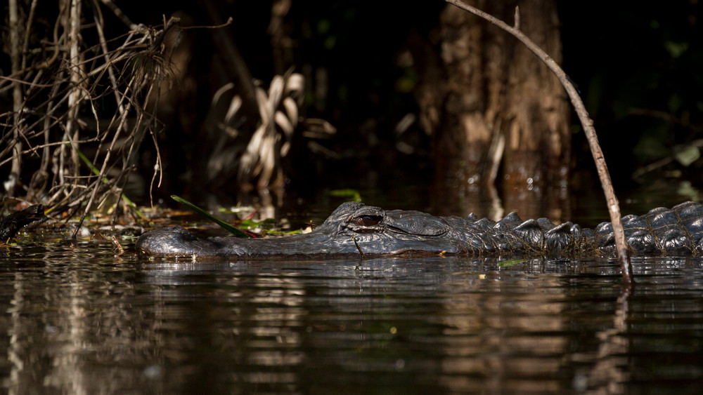 Img 3278 Photography Art | Captured Adventure Photography