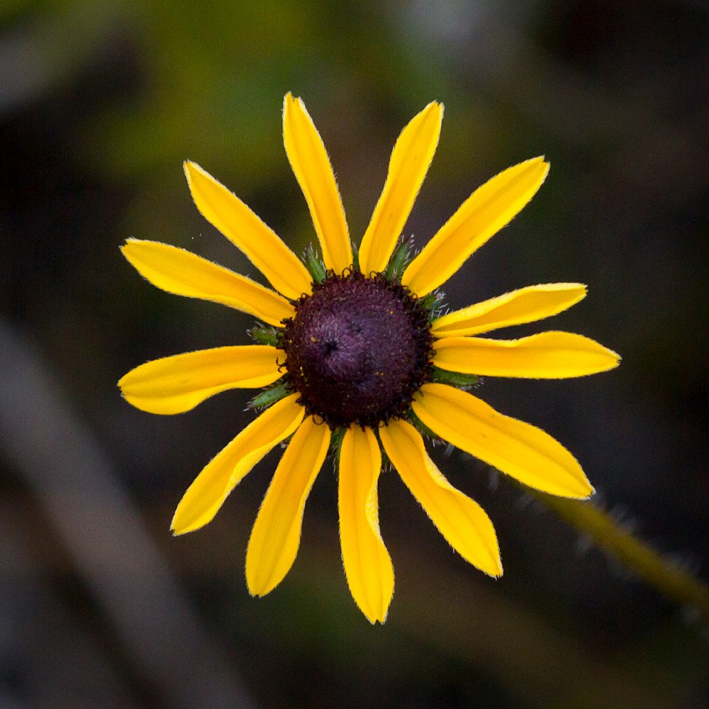 Img 3572 Photography Art | Captured Adventure Photography