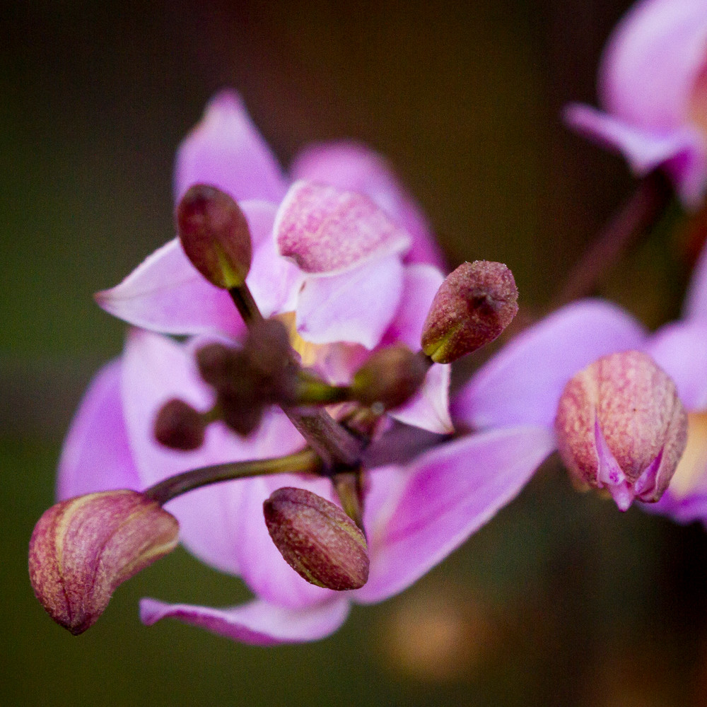 Img 3563 Photography Art | Captured Adventure Photography