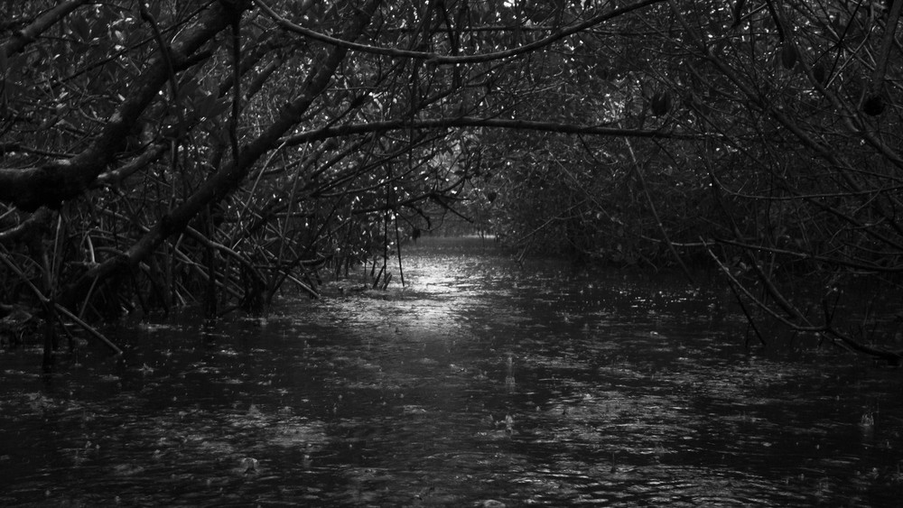 Img 3743 Photography Art | Captured Adventure Photography