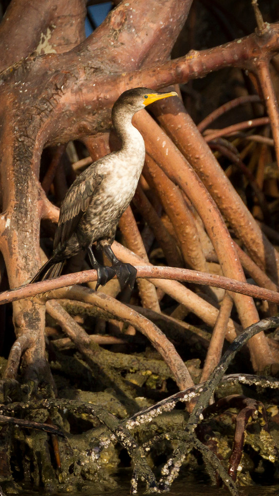 Img 5218 Photography Art | Captured Adventure Photography