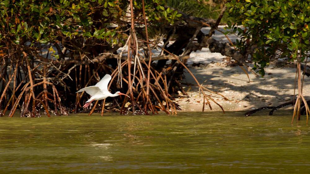 Img 5026 Photography Art | Captured Adventure Photography