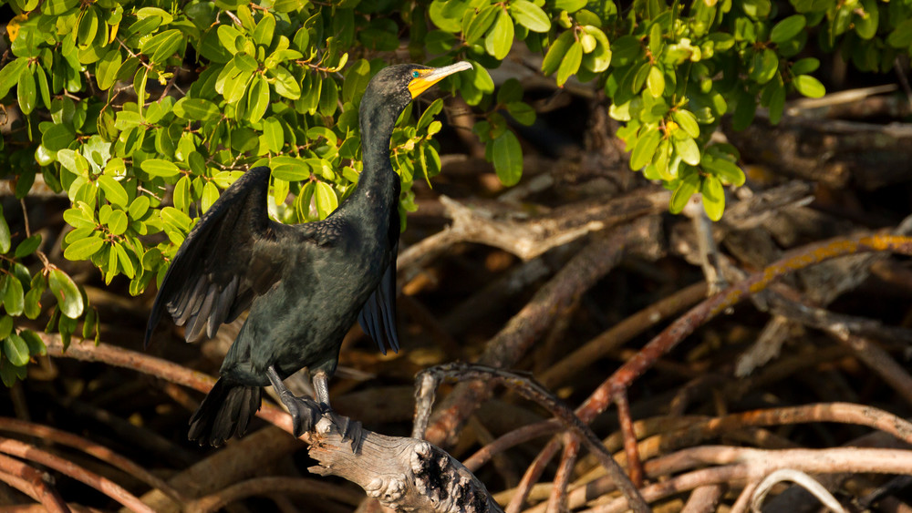 Img 5203 Photography Art | Captured Adventure Photography