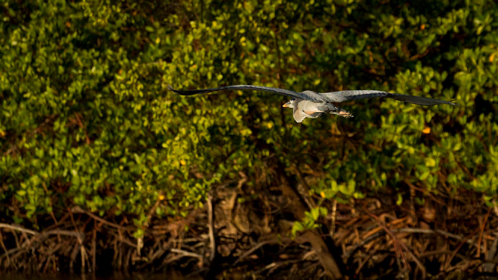 Img 5351 Photography Art | Captured Adventure Photography