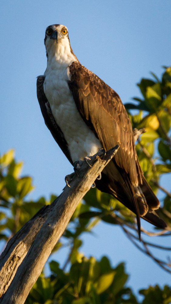 Img 5437 Photography Art | Captured Adventure Photography