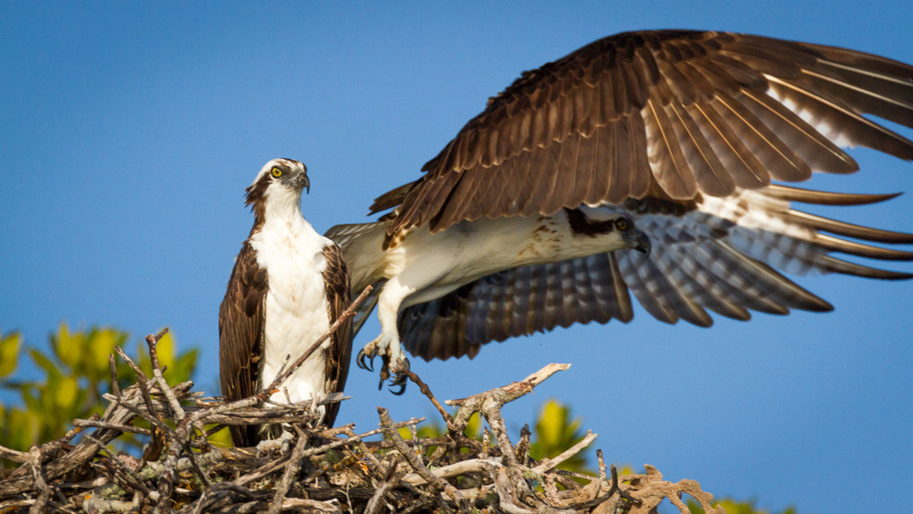 Img 5248 Photography Art | Captured Adventure Photography