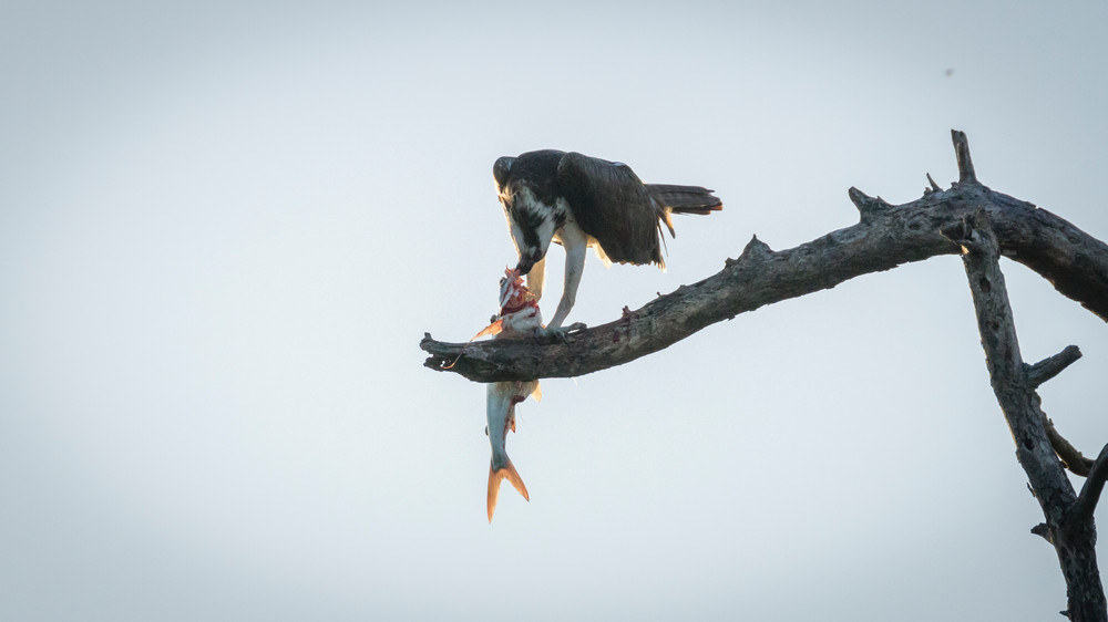 Img 5584 Photography Art | Captured Adventure Photography