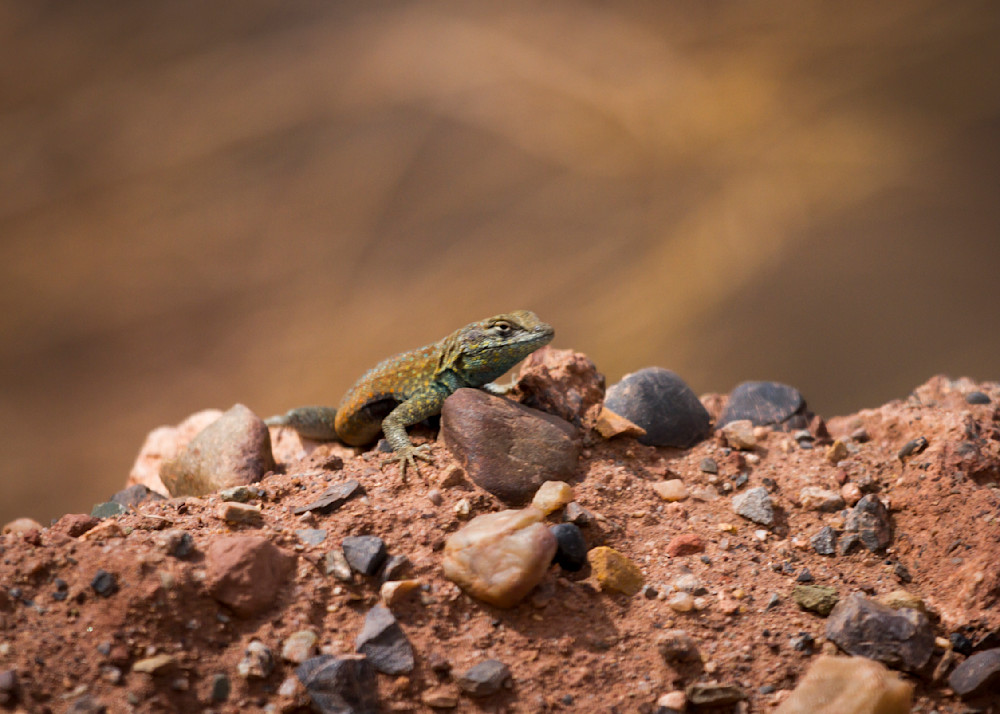 Img 1479 Photography Art | Captured Adventure Photography