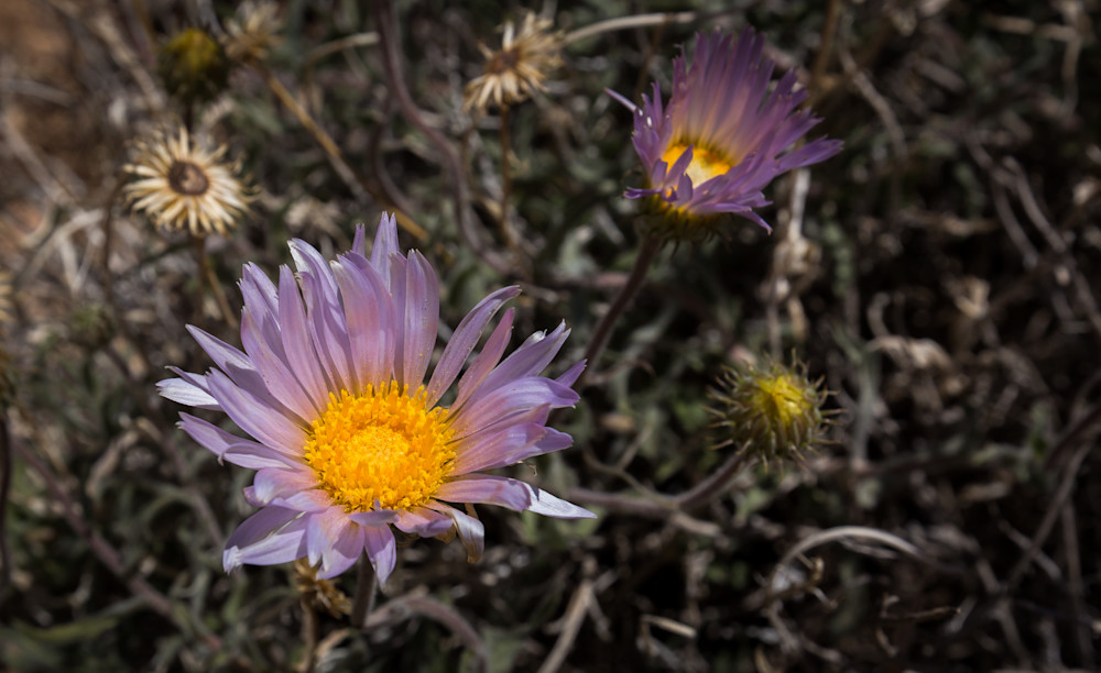 Mg 1399 Photography Art | Captured Adventure Photography