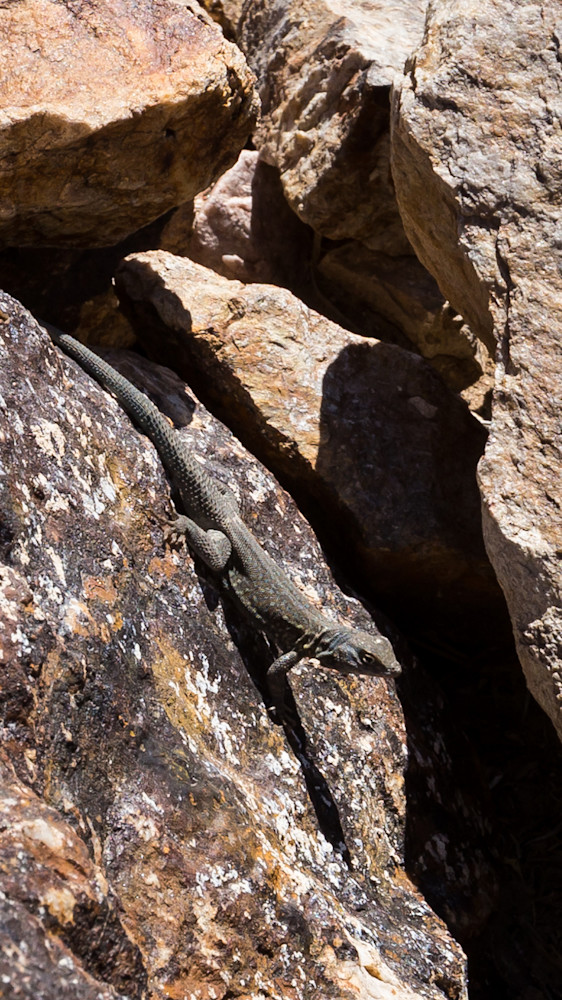 Mg 1587 Photography Art | Captured Adventure Photography