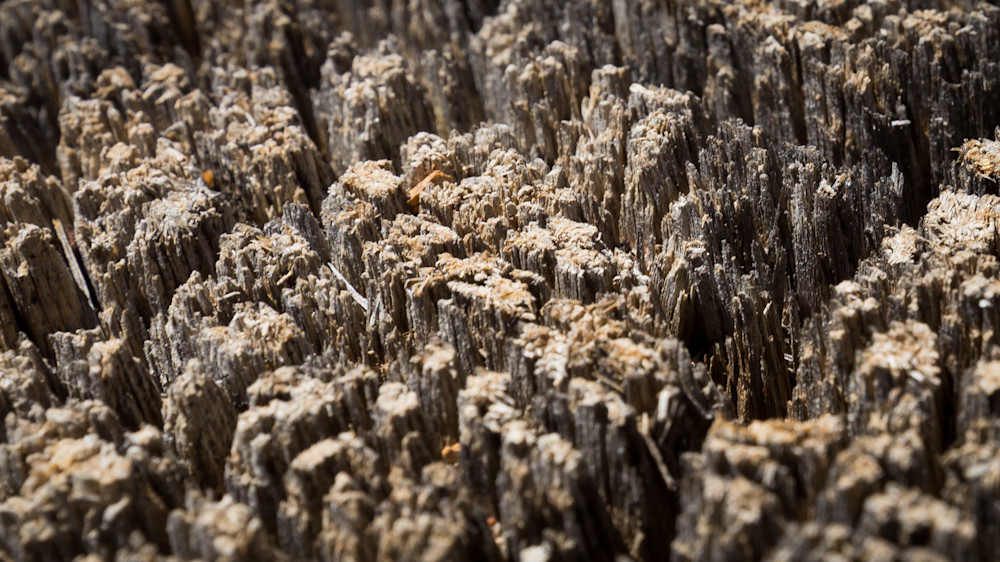 Mg 1664 Photography Art | Captured Adventure Photography