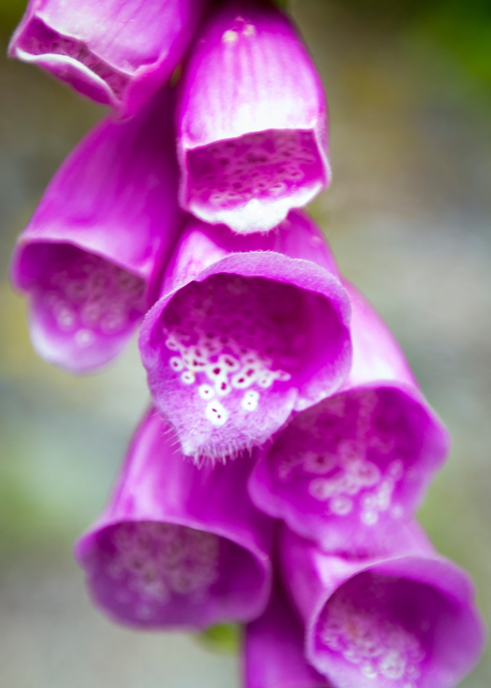 Mg 5581 Photography Art | Captured Adventure Photography