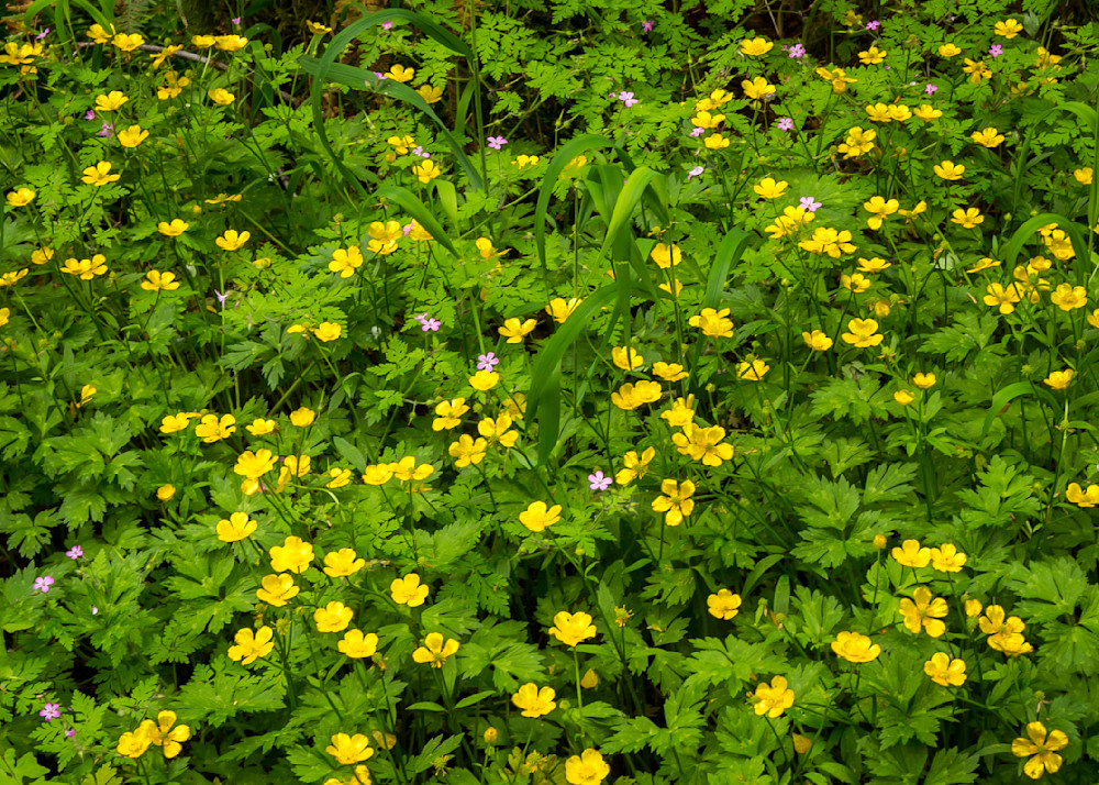 Mg 5495 Photography Art | Captured Adventure Photography