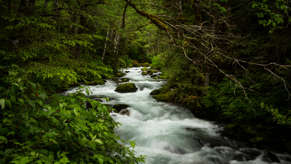 Mg 5436 Photography Art | Captured Adventure Photography