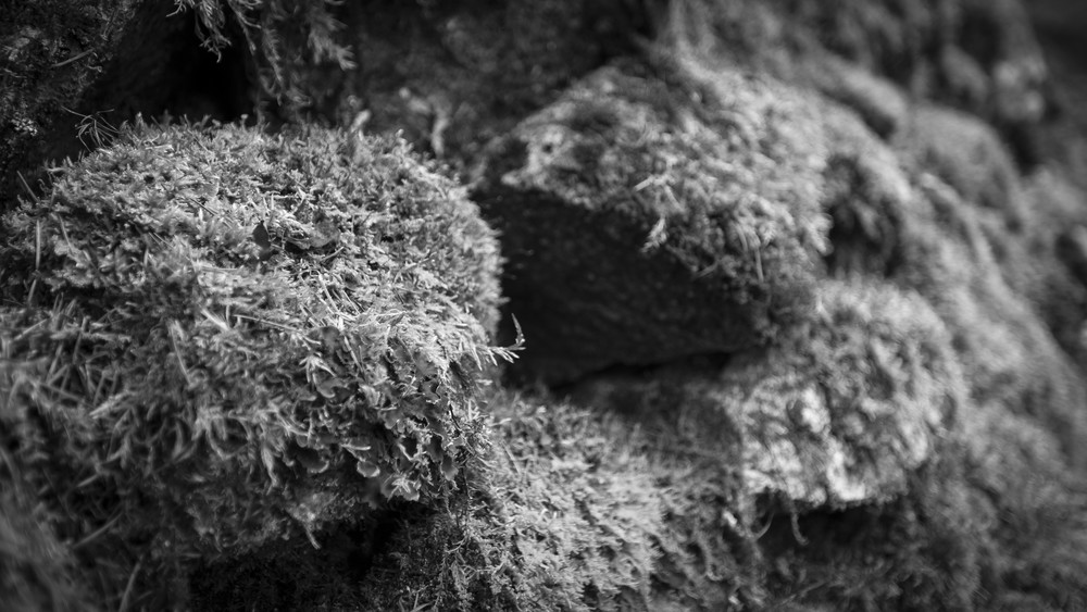 Mg 5615 Photography Art | Captured Adventure Photography