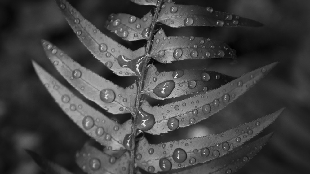 Mg 4804 Photography Art | Captured Adventure Photography