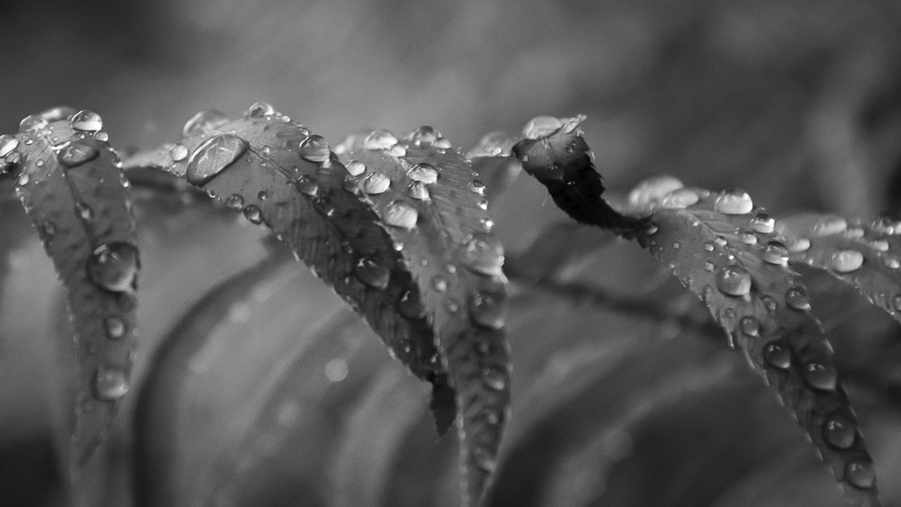 Mg 4812 Photography Art | Captured Adventure Photography