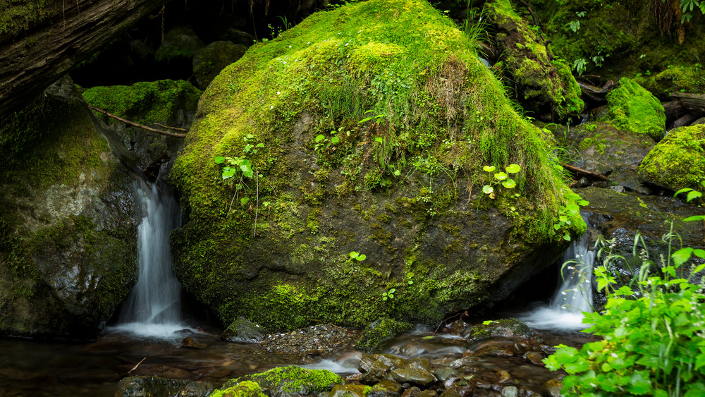 Mg 4447 Photography Art | Captured Adventure Photography