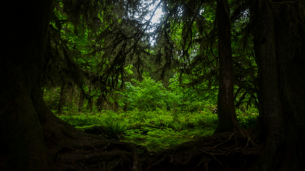 Mg 4937 1 Photography Art | Captured Adventure Photography