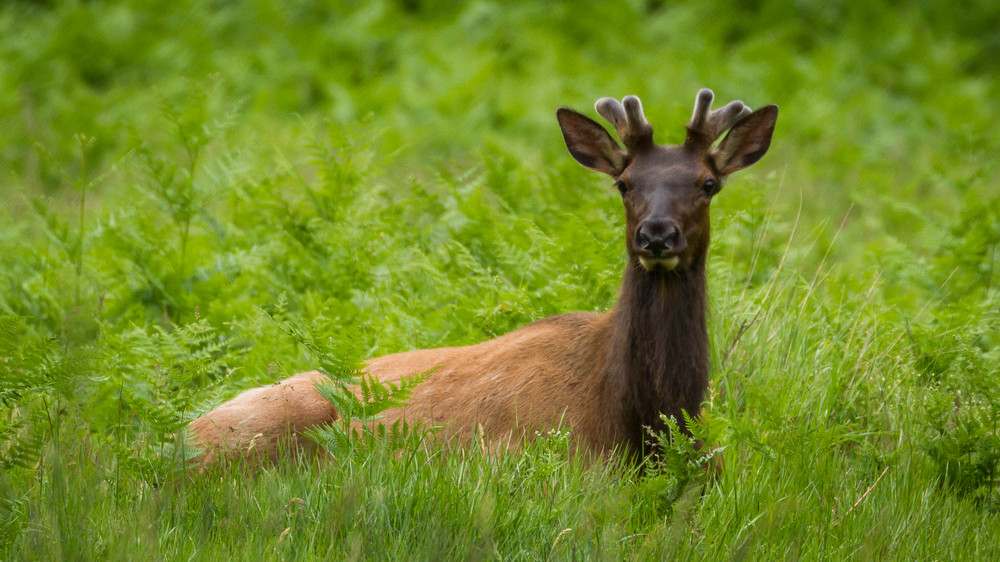 Img 0706 Photography Art | Captured Adventure Photography