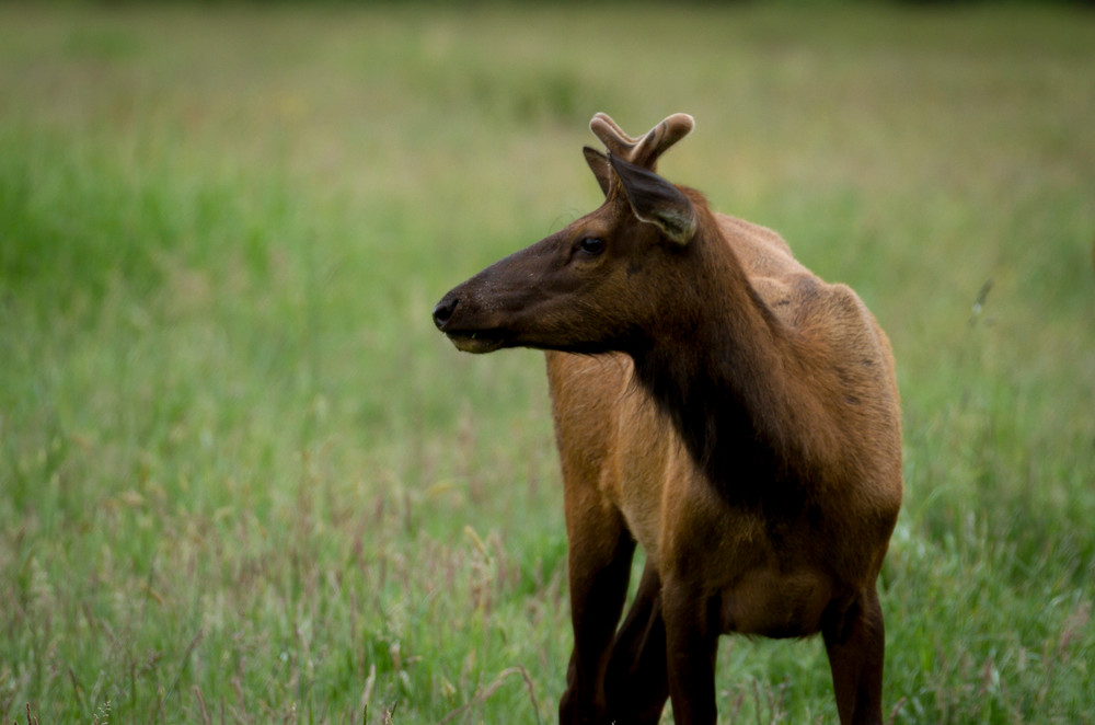 Img 0670 Photography Art | Captured Adventure Photography