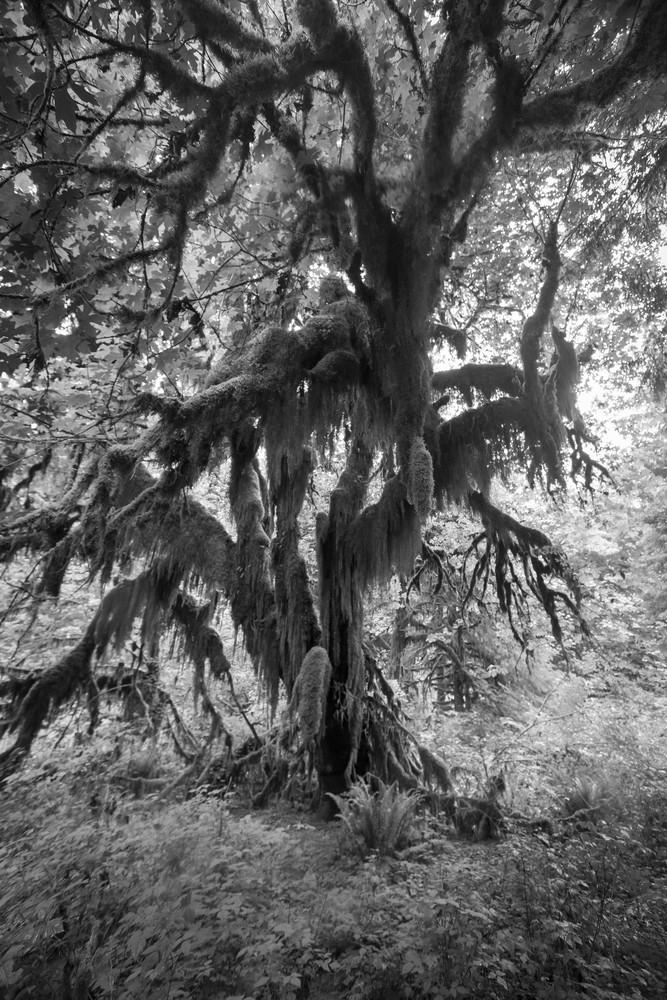 Mg 4832 Photography Art | Captured Adventure Photography