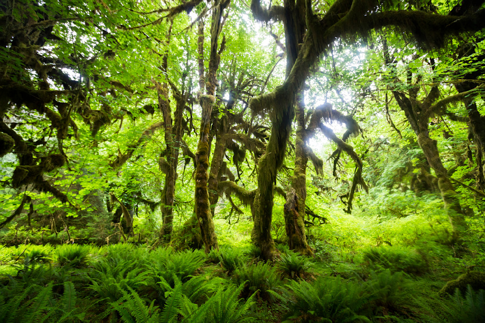 Mg 4842 Photography Art | Captured Adventure Photography