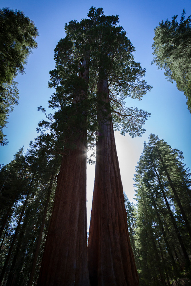 Img 6386 Photography Art | Captured Adventure Photography